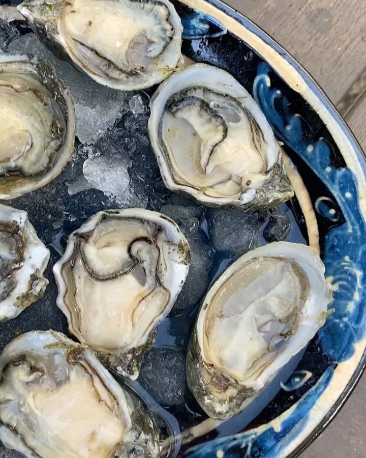 OCEAN MINERALS &amp; MATERNAL REPLETION ⁠🫧
⁠
Seawater is the only substance on the planet that contains almost all of the elements in the periodic table (116 of 118.) Isn&rsquo;t that incredible?! ⁠
⁠
Pure oceanic seawater is rich in beneficial micr