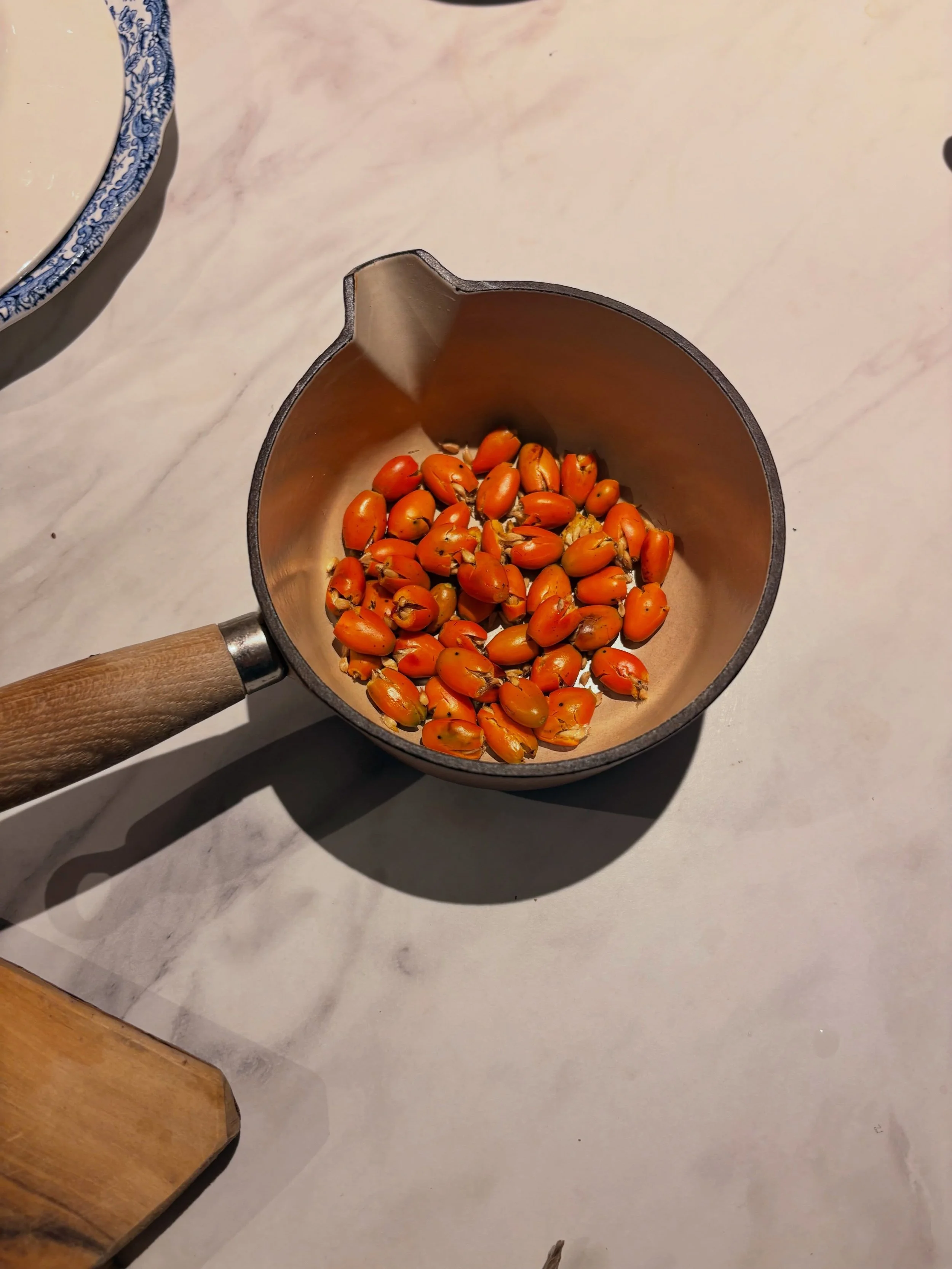 Rosehips have been speaking to me lately, especially since I fell in love with Rosa Rugosa, the beach rose, during a trip to Maine. I have been embroidering them, making teas and my favorite, this syrup. 

(Initially I wanted to make a rosehip and ro