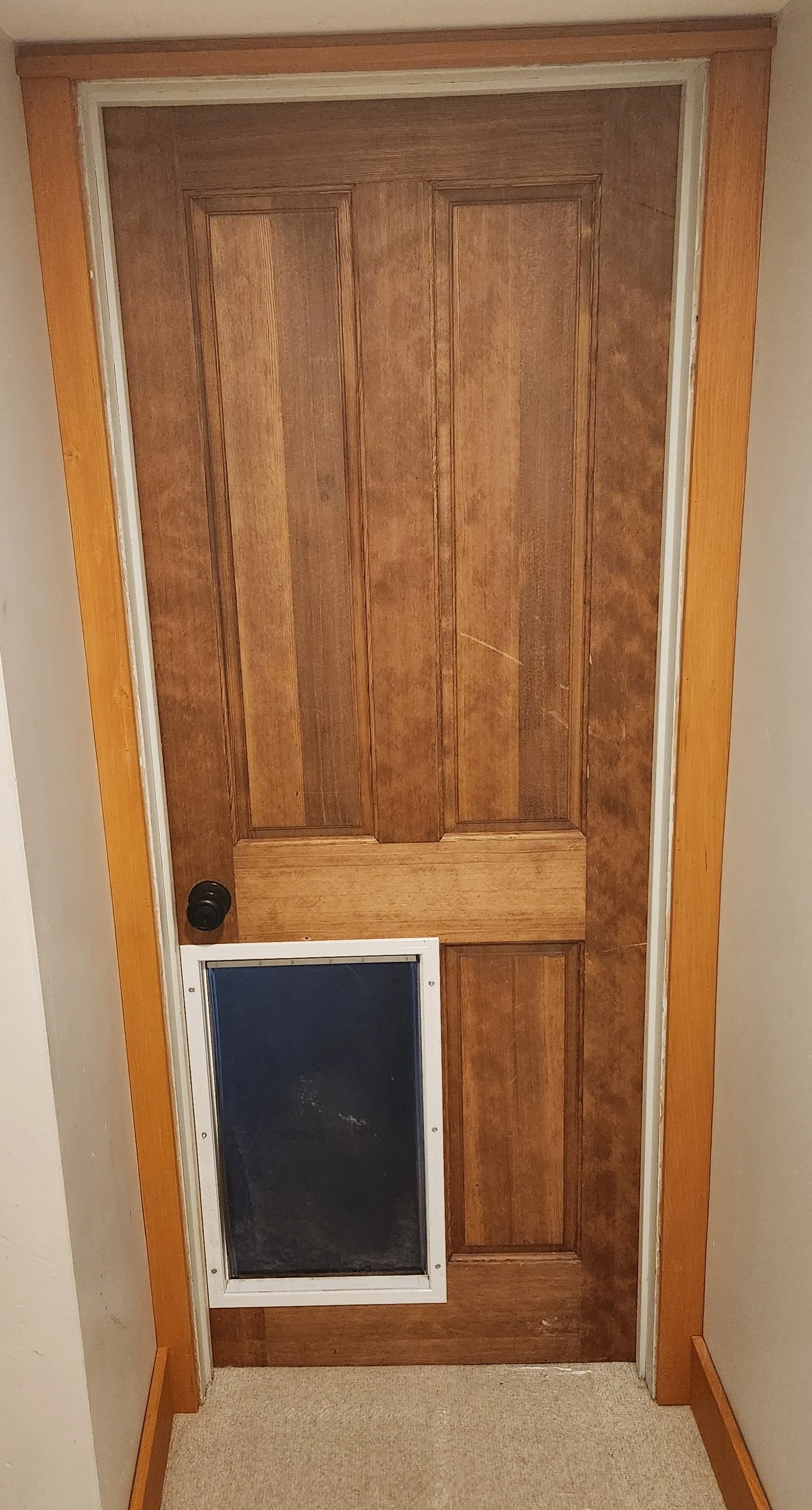Wooden door with a pet door at the bottom left, showcasing stain grade scribing of the header and legs of the casing.