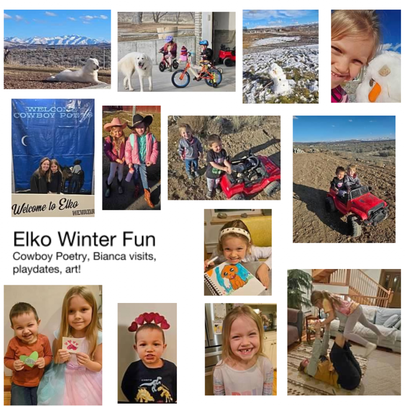 Elko Winter Happenings