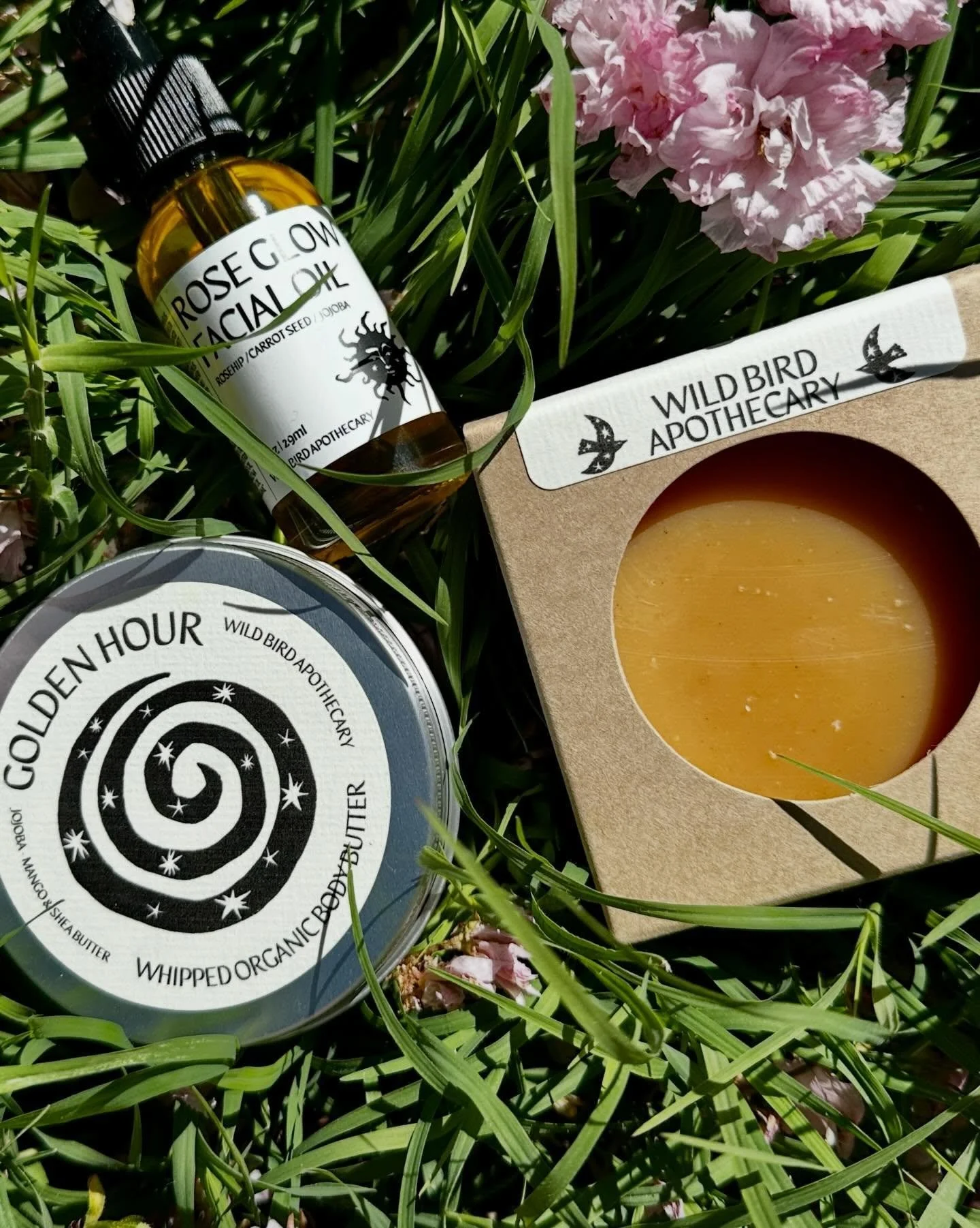 Find these sustainable botanical beauties in store @make_local_habit @ecojoyous @loklgeneralstore. These eco friendly small businesses offer so many awesome items to make your celebration special. 

#shopsmall #lovetheplanet #sustsinableliving #artis