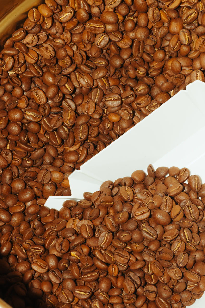 Gary specialty coffee roaster Geelong VIC