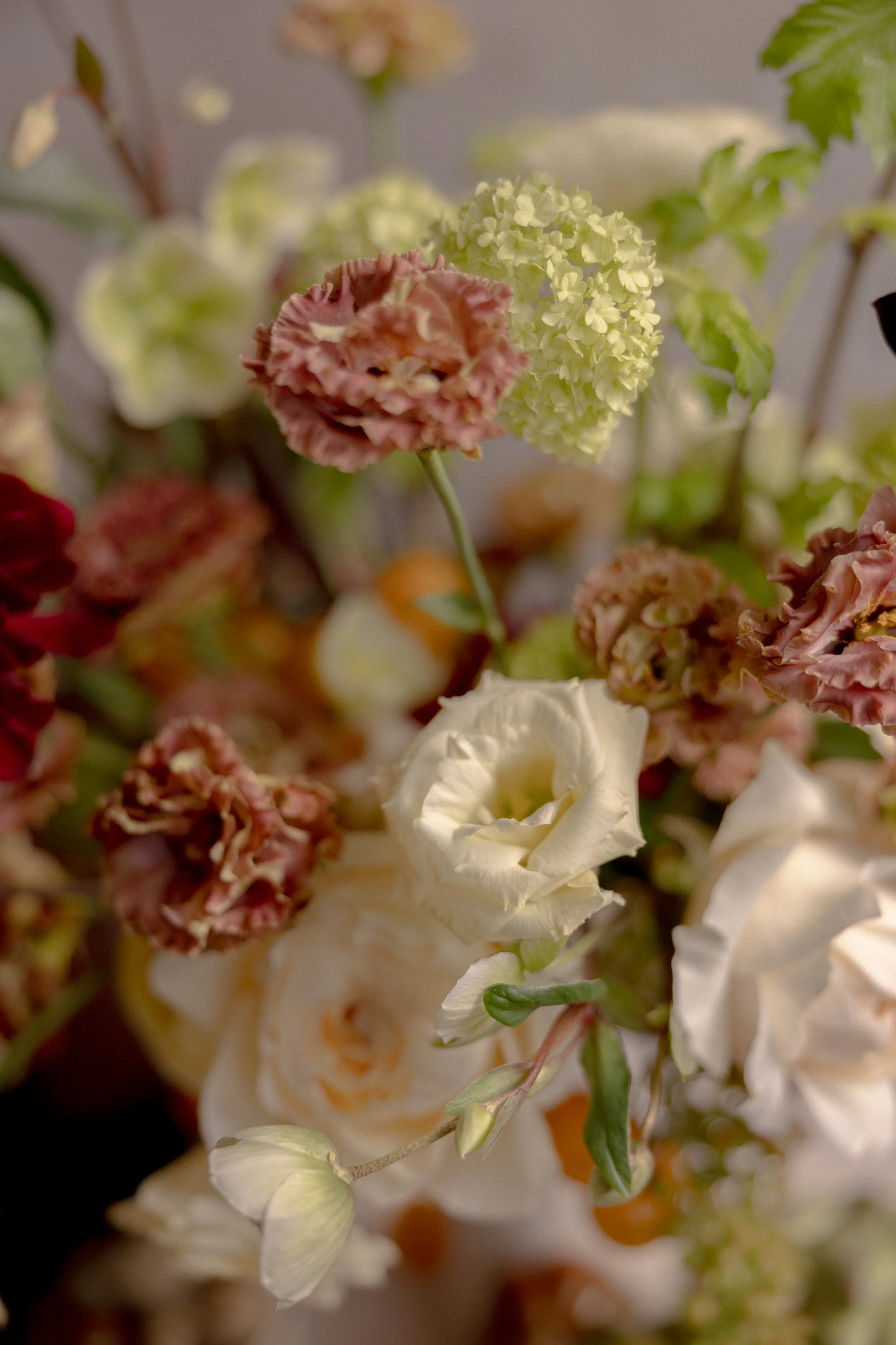 LeJardin-traces-flora (25 of 82).jpg