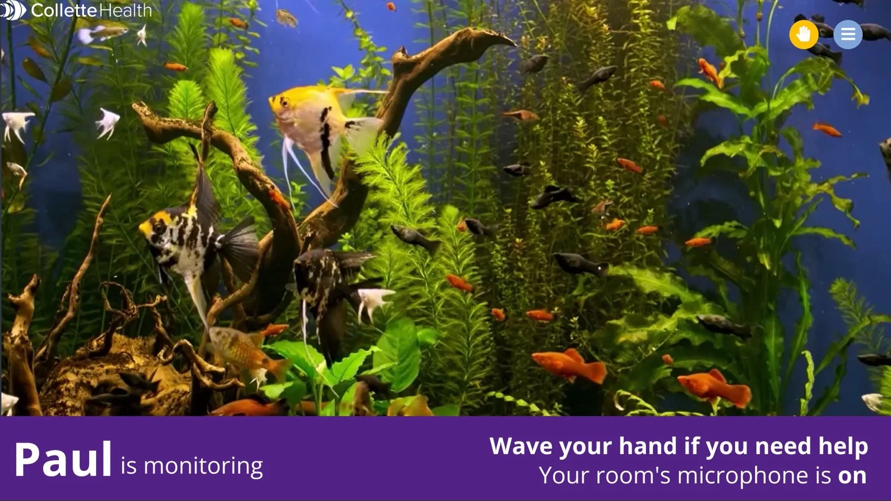 The patient-facing screen: a calming aquarium video with a purple banner reading Paul is monitoring, Wave your hand if you need help, Your room's microphone is on.
