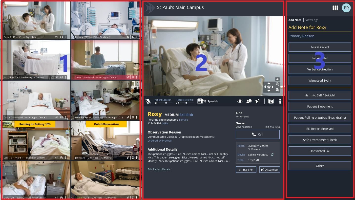 The pod with three regions outlined and numbered: 1 the video grid, 2 the focused patient, 3 the note buttons.