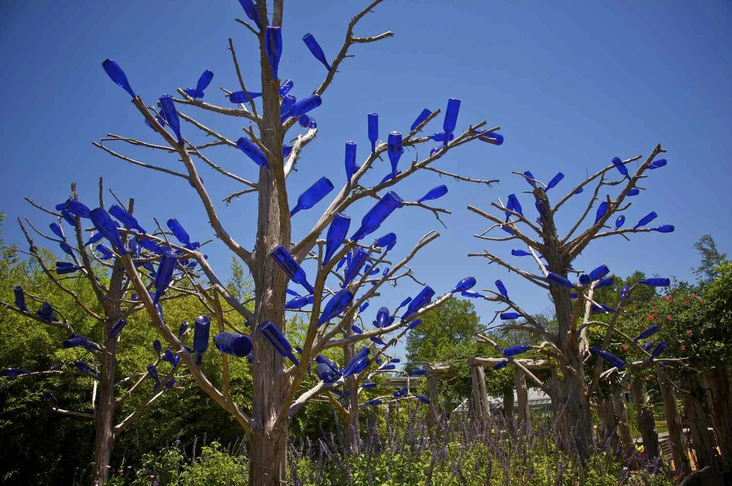 Bottle Trees