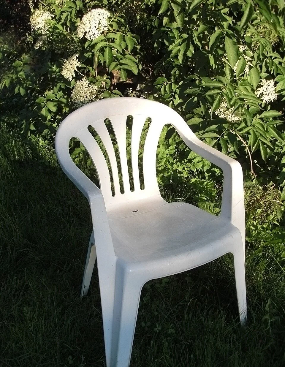 MonoBloc Chairs