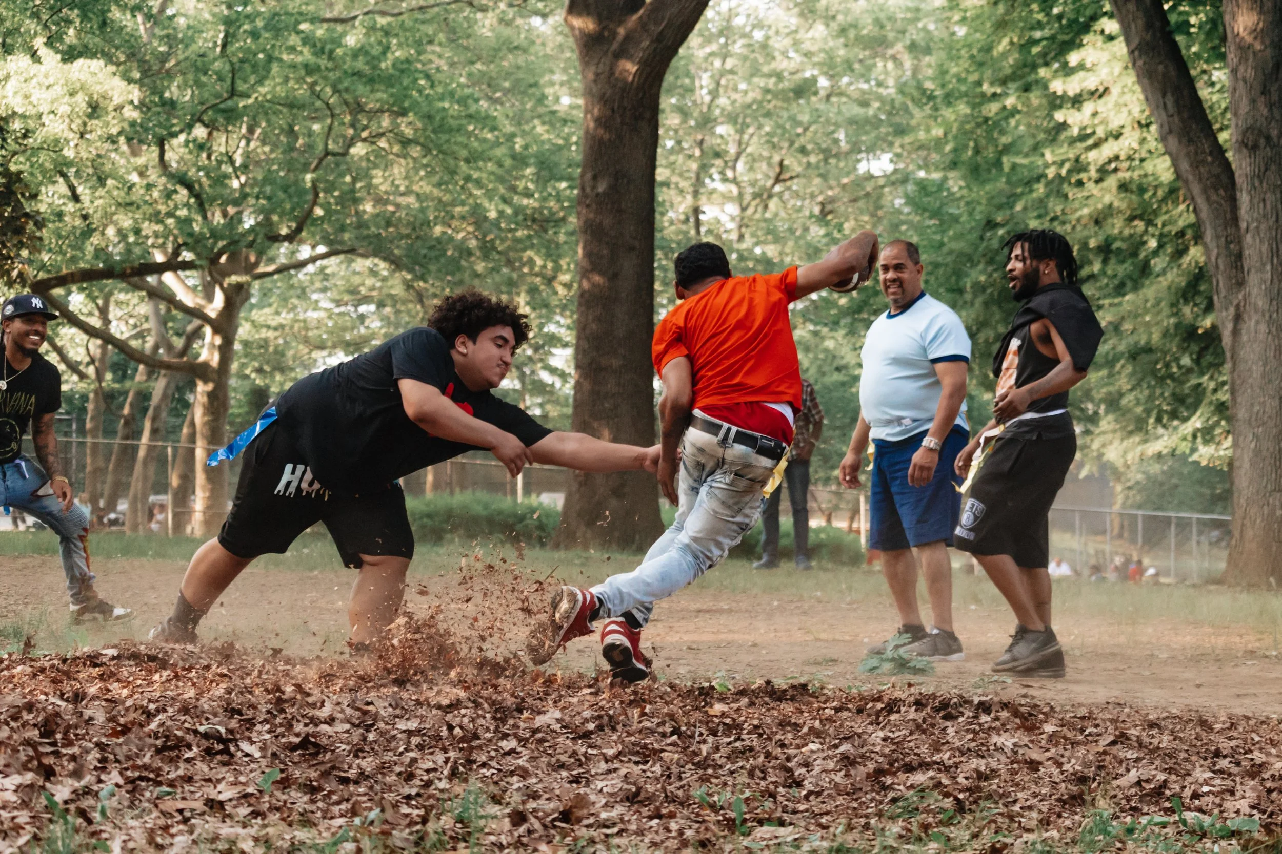 _ILL8330.jpg