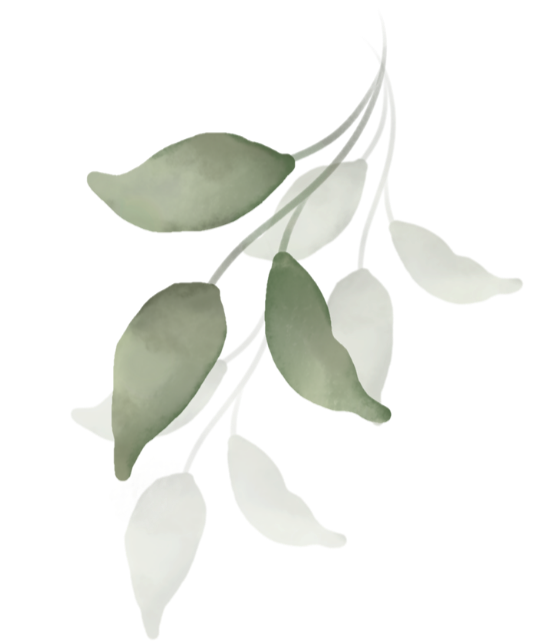 A branch with several gray-green leaves.