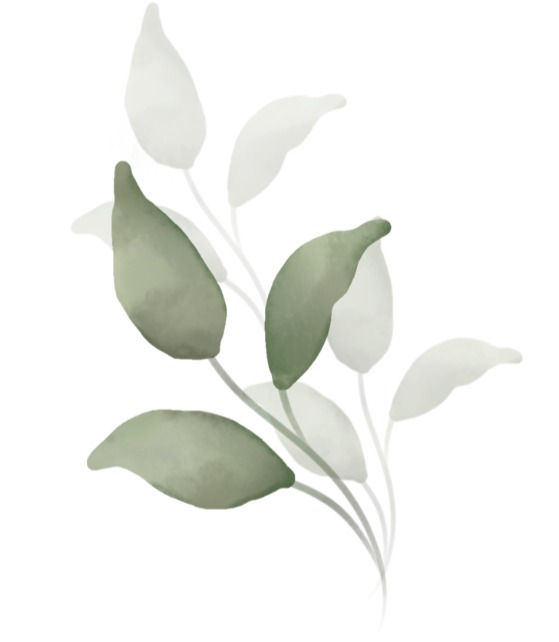 A sprig of green leaves on a stem.