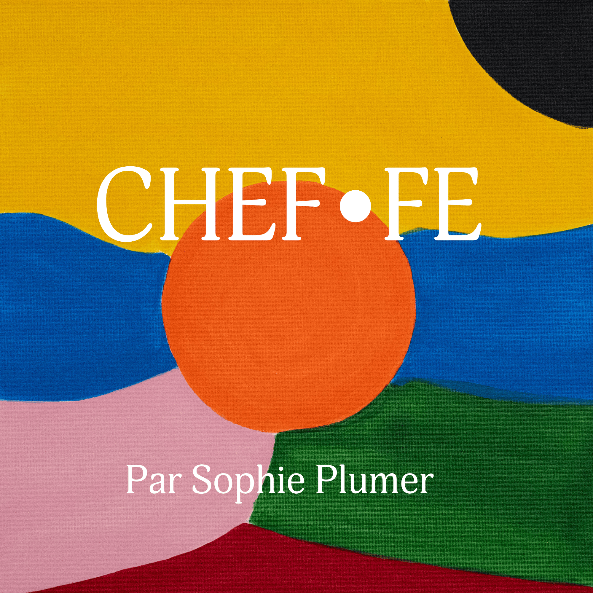 Couverture de livre colorée avec des formes abstraites en jaune, bleu, orange, vert, rouge, et rose, et le texte 'Par Sophie Plumer' en blanc.