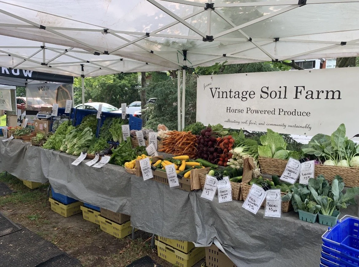 Kingston farmers market setup with certified organic vegetables
