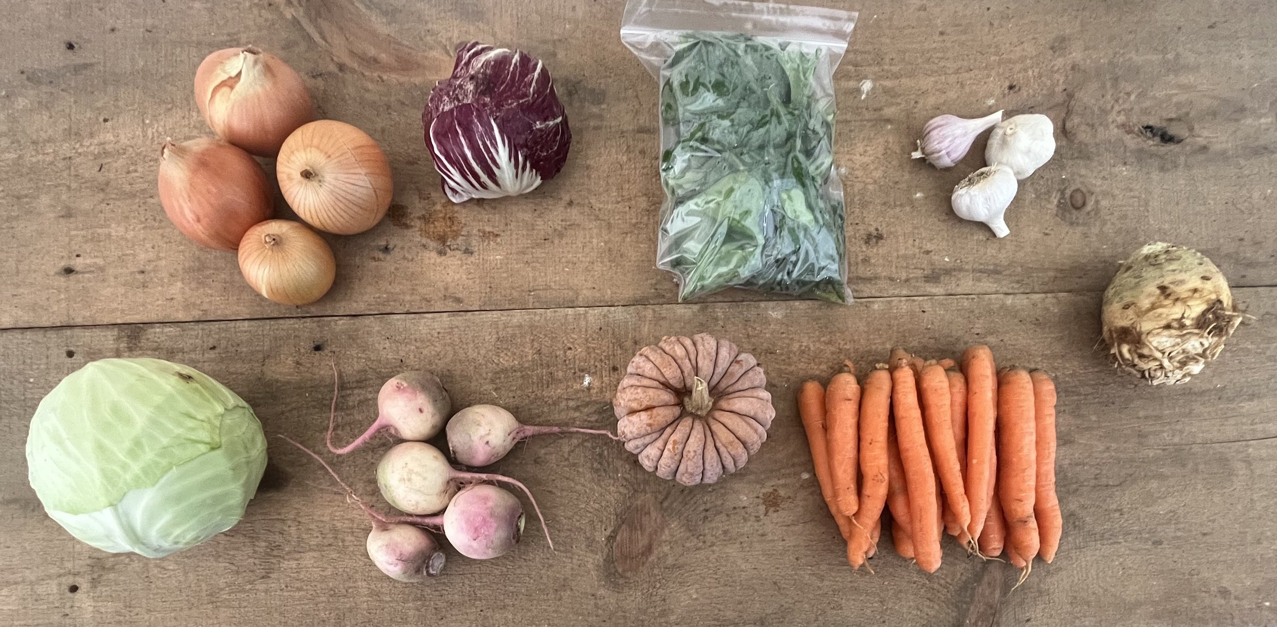 organic CSA for Kingston and Kemptvile