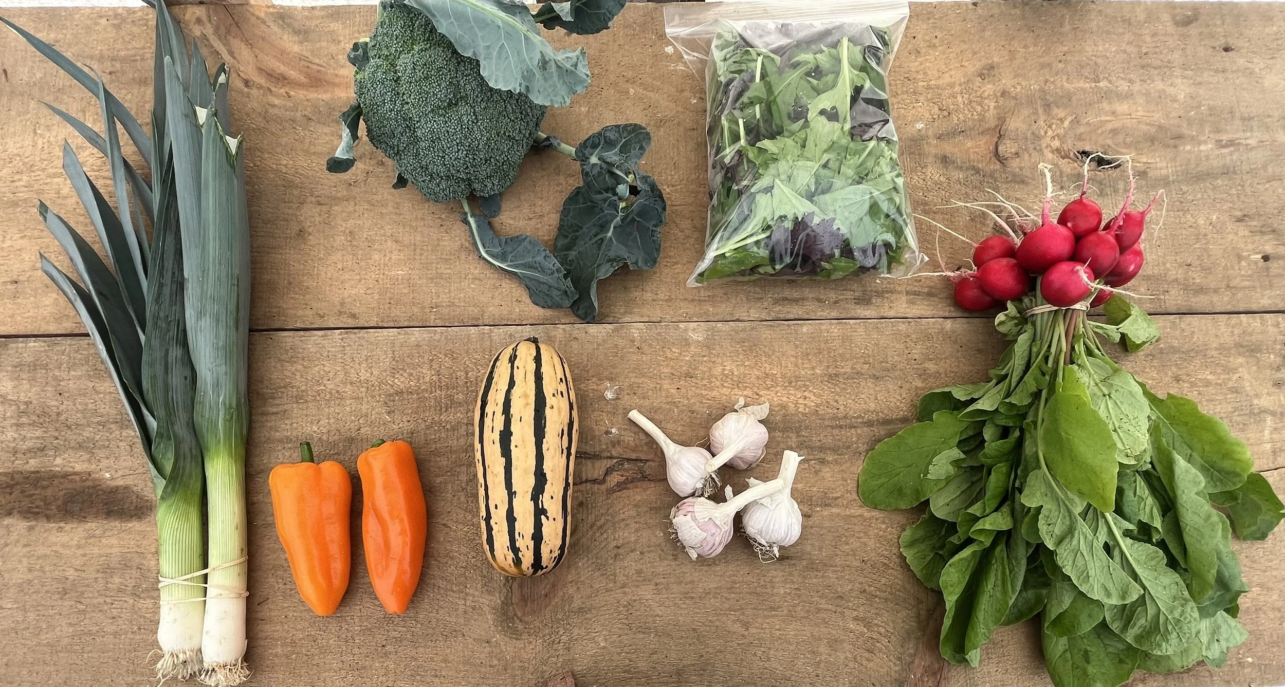 certified organic vegetable CSA for Kingston and Perth