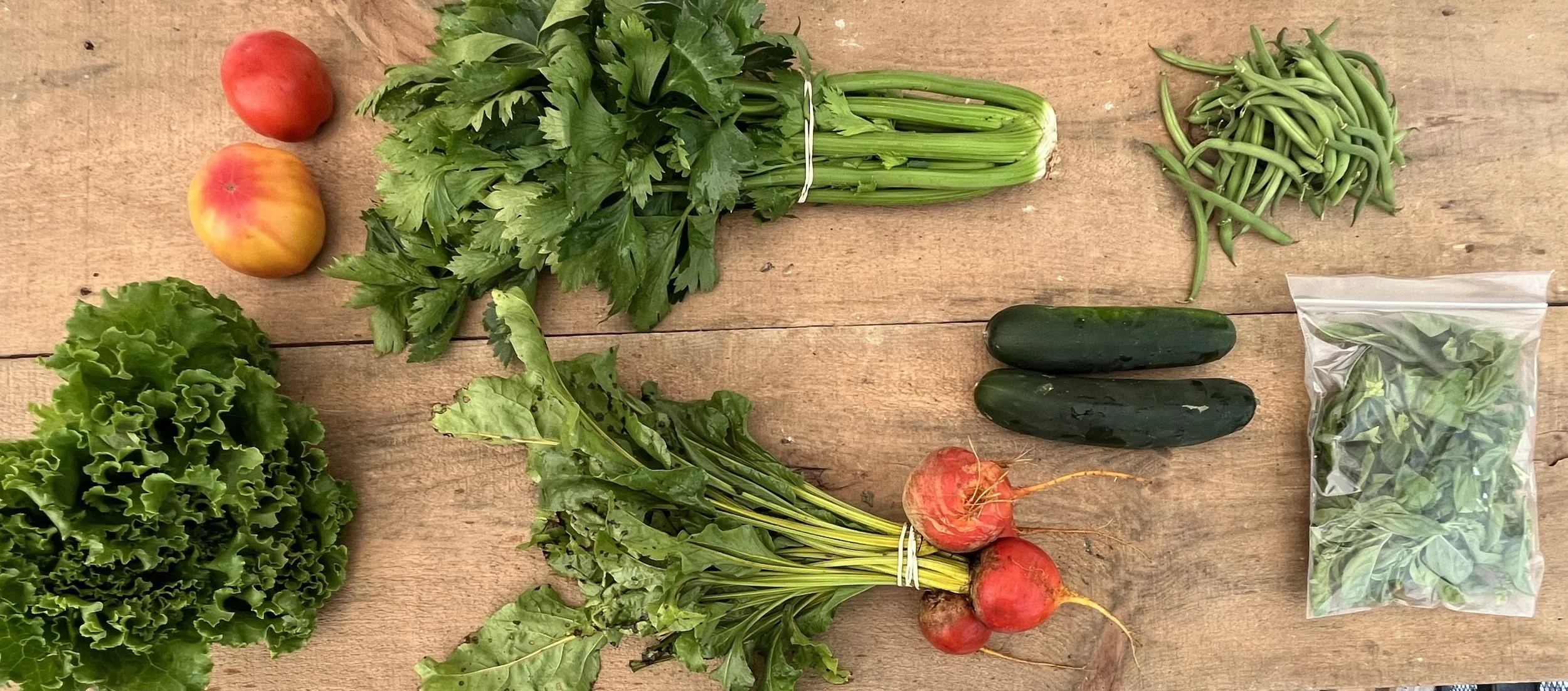 certified organic vegetable CSA for Kingston, Perth, and Kemptville