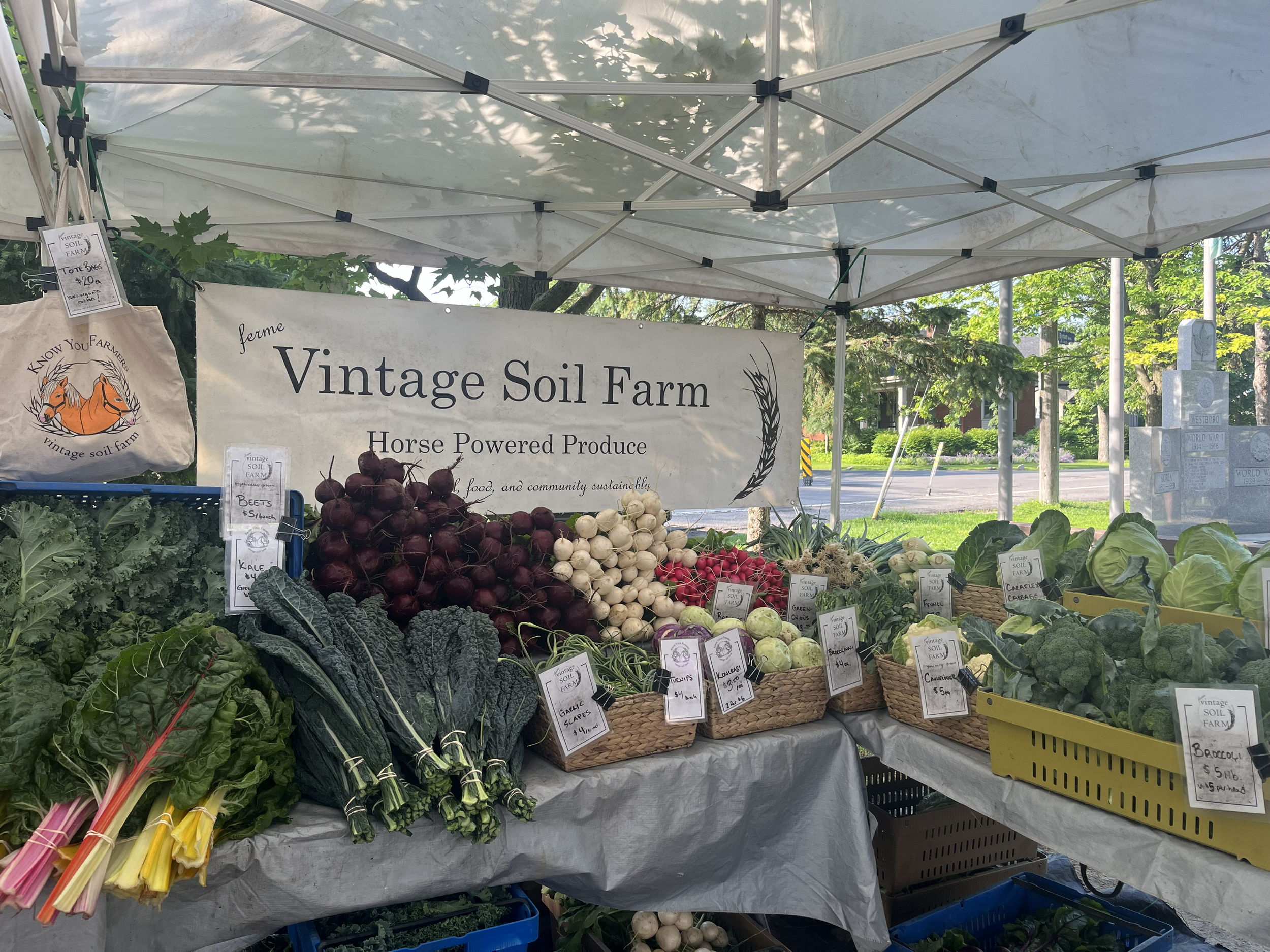 Kingston farmers market setup with certified organic vegetables