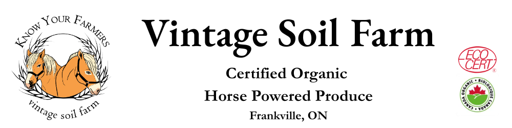 Vintage Soil Farm's new banner with our pony logo, our location of Frankville ON, and our organic certification.
