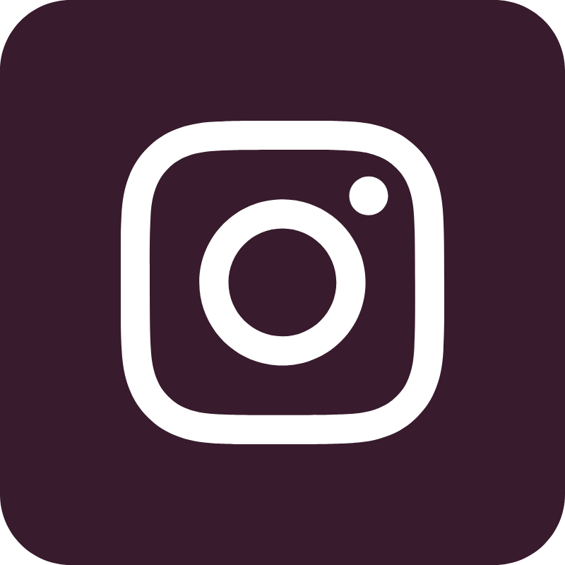 Instagram Social Icon