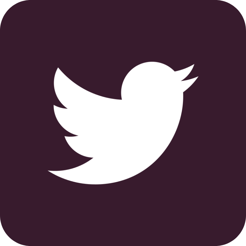 Twitter Social Icon