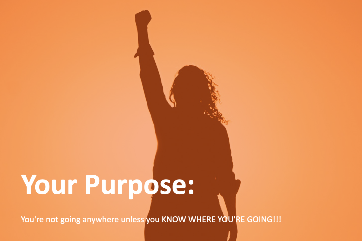 Silhouette of a woman with one fist raised against an orange background, with the text 'Your Purpose: You're not going anywhere unless you KNOW WHERE YOU'RE GOING!!!'