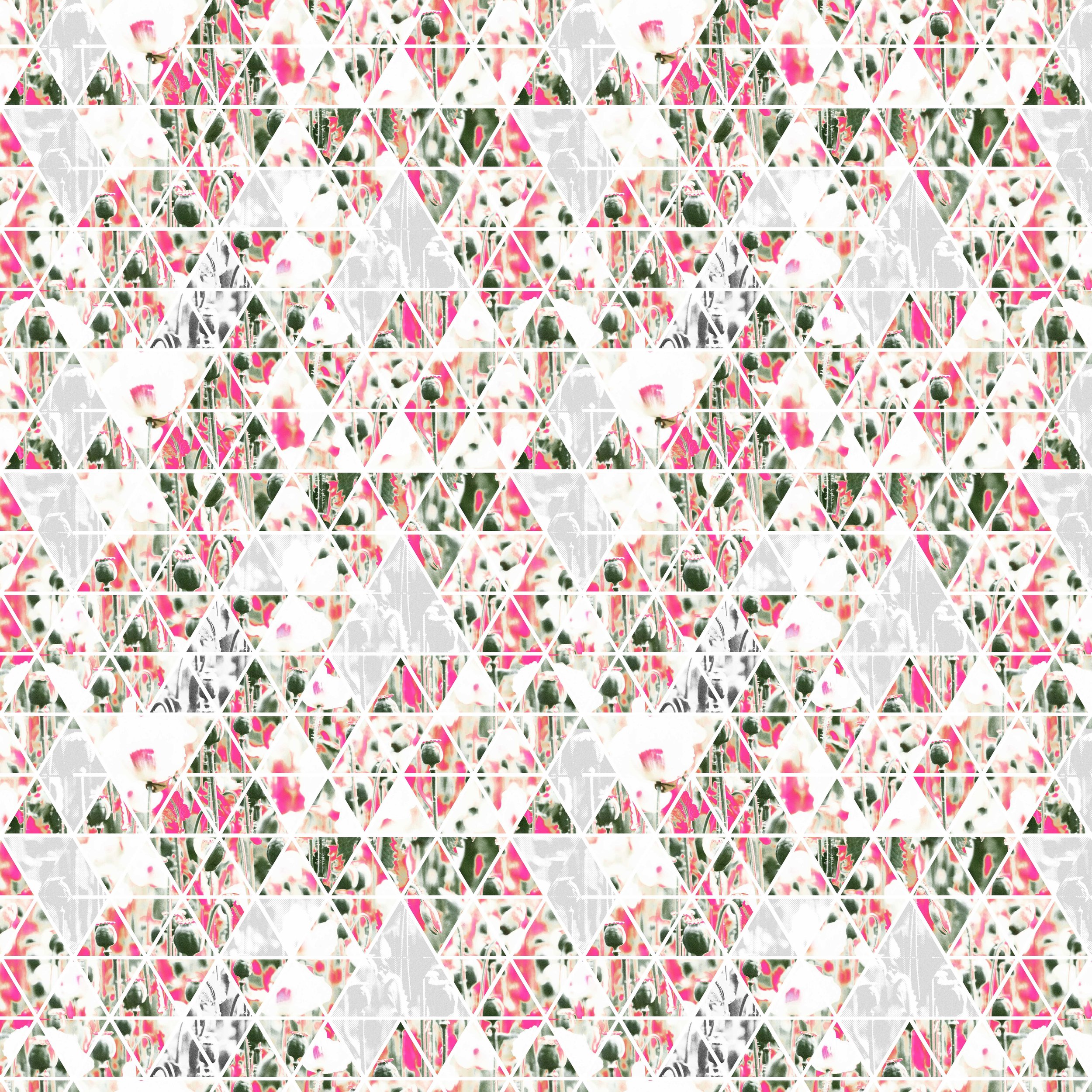 ZK-Opium Bloom-MAX SCALE.jpg