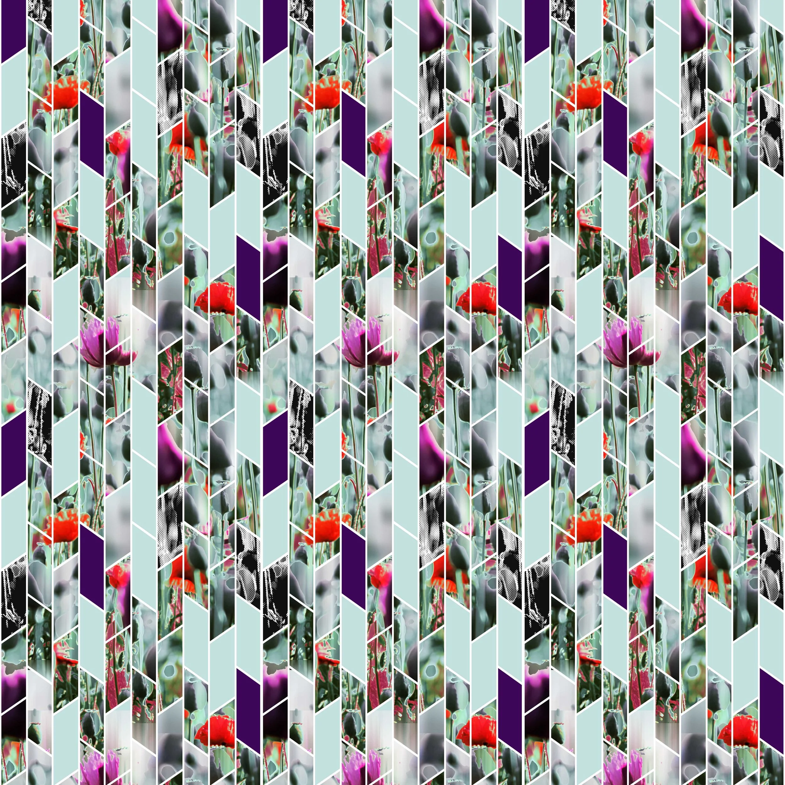 ZK-Opium Garden-MAX SCALE.jpg