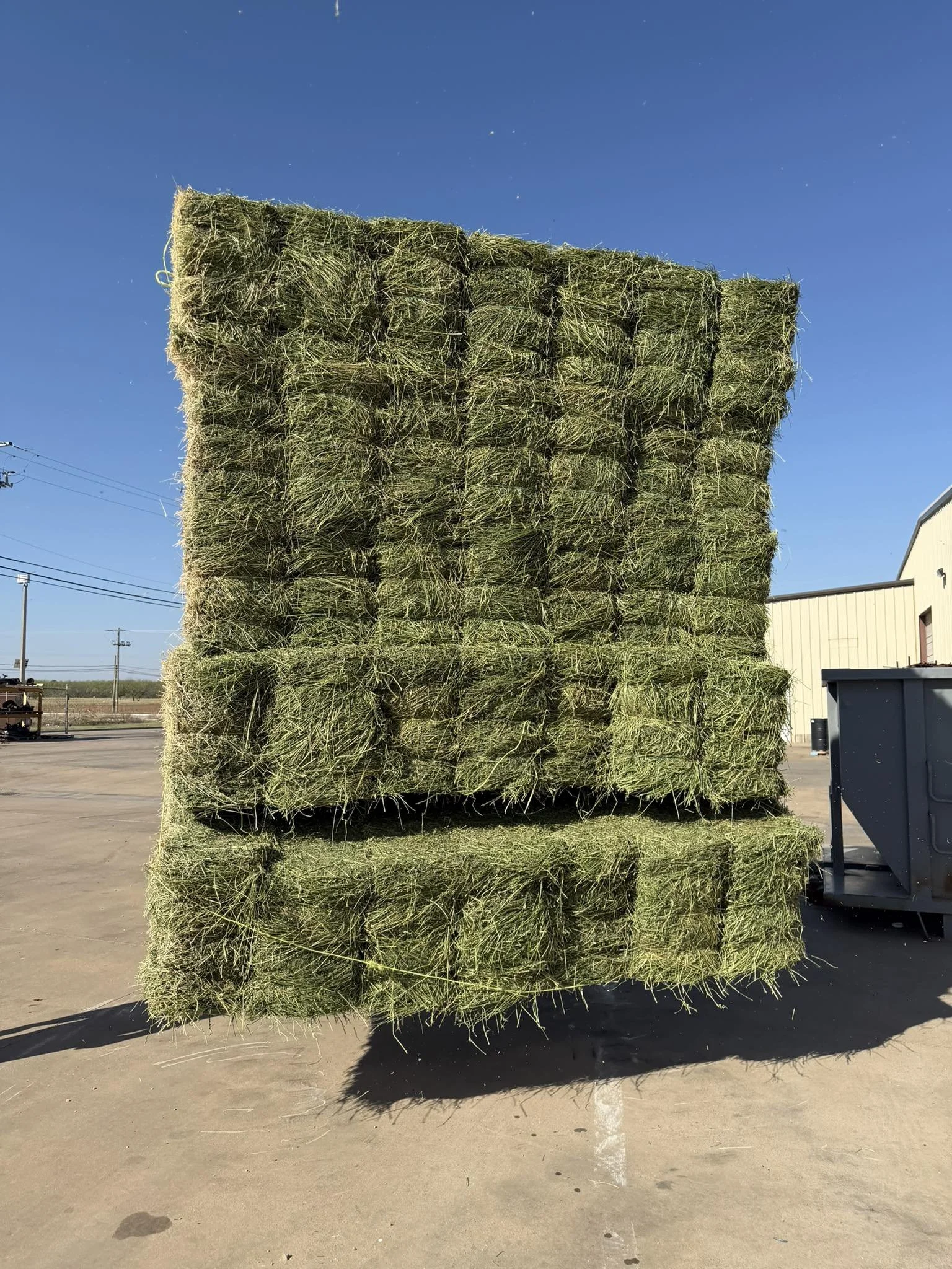 PREMIUM ALFALFA