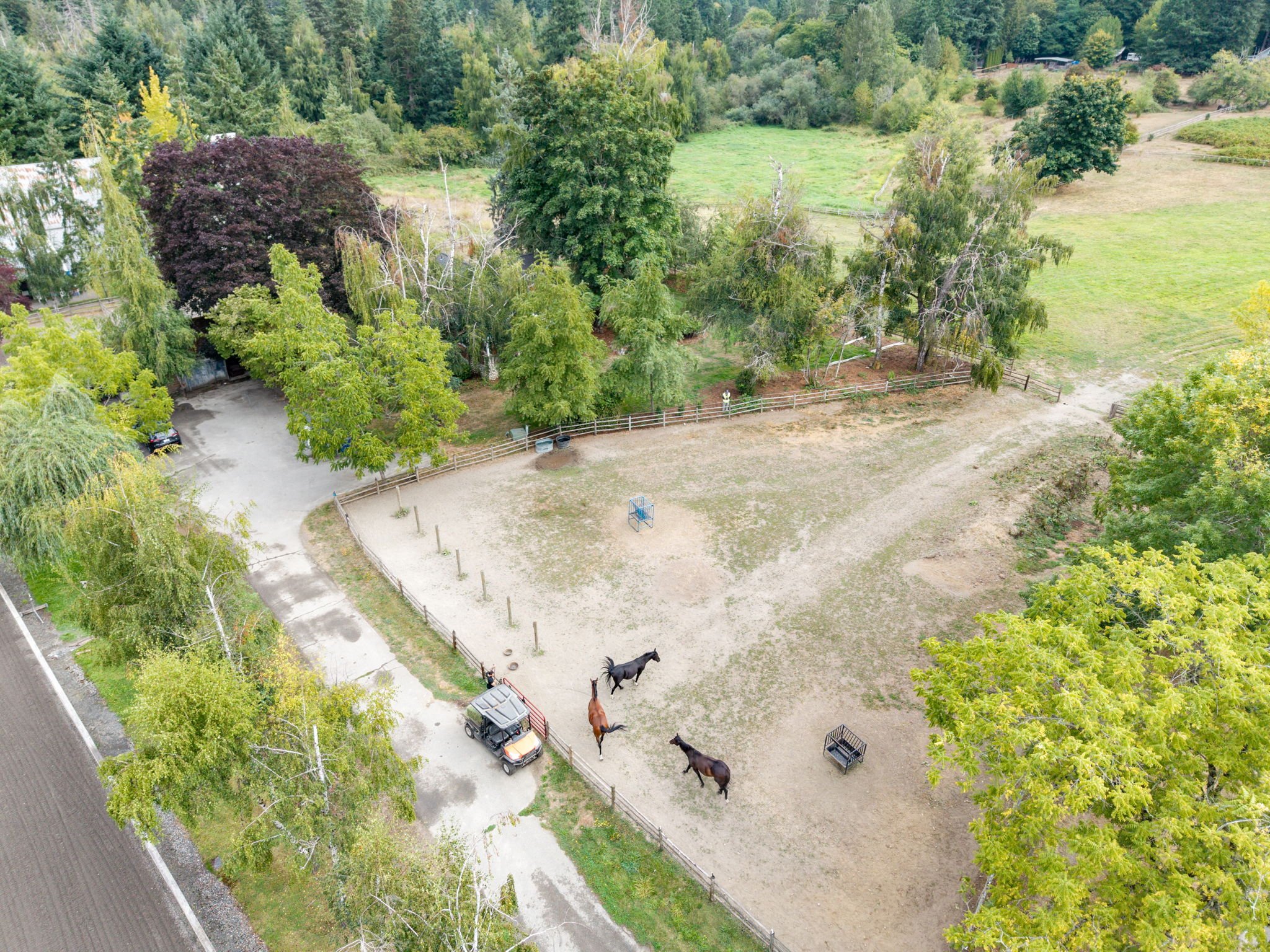 An aerial view of a rural horse riding area with three horses, a small vehicle, trees, and a fenced sand arena.
