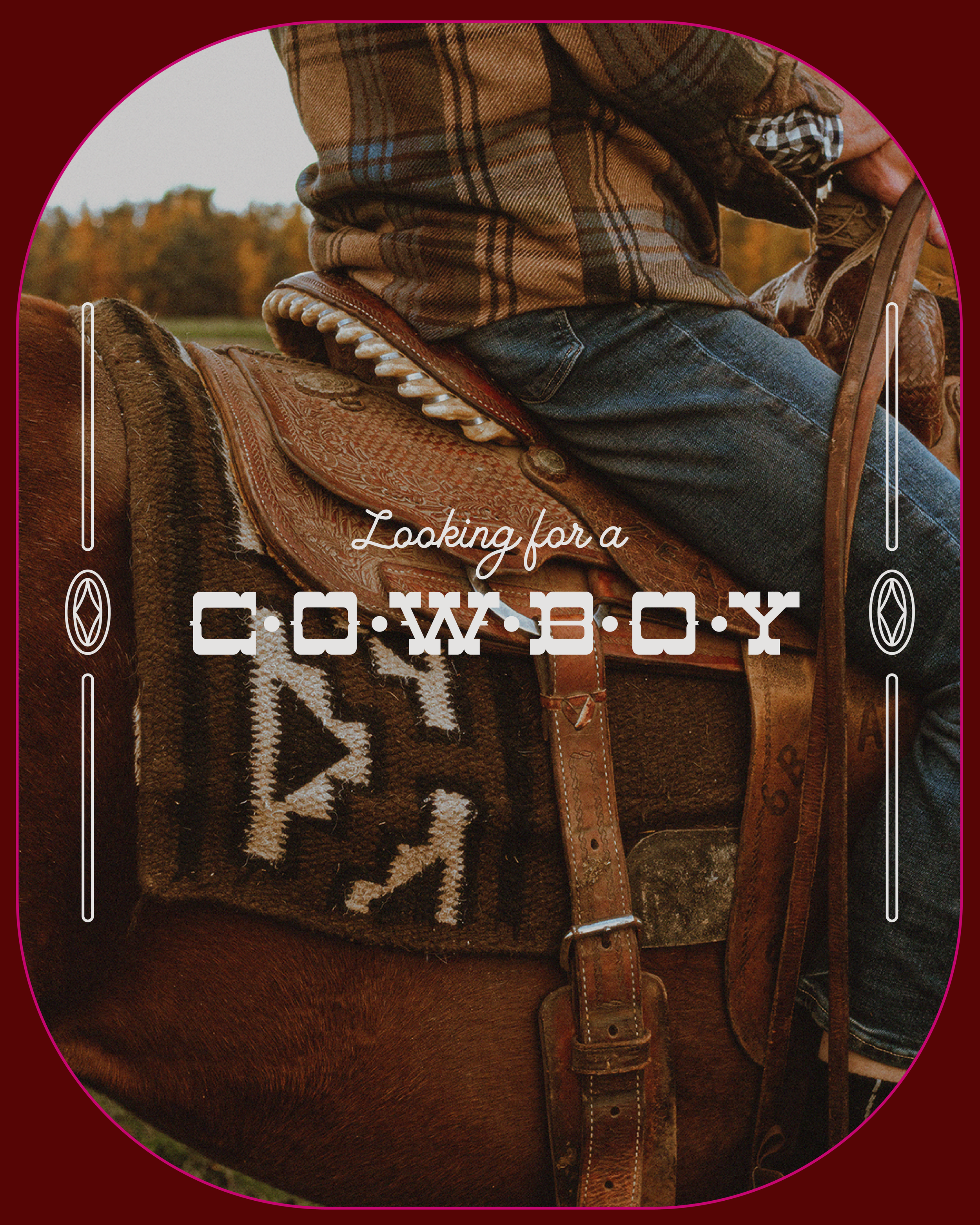 carousel_graphics-17.png