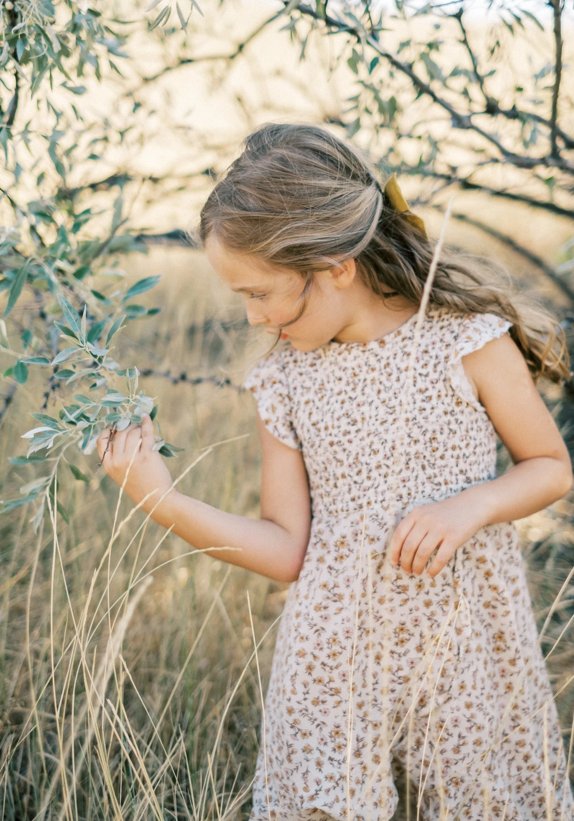 Feilds September-28.jpg