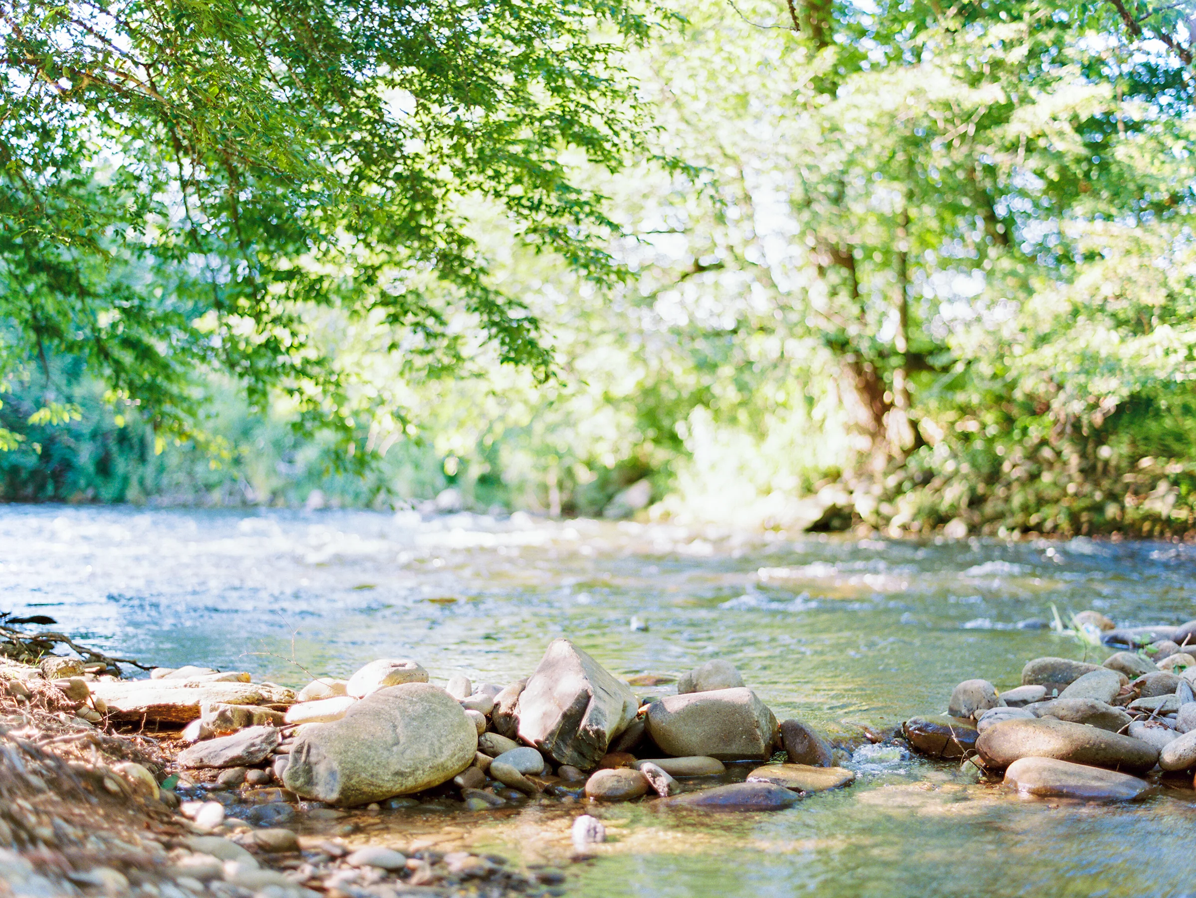 I want to be a rushing river