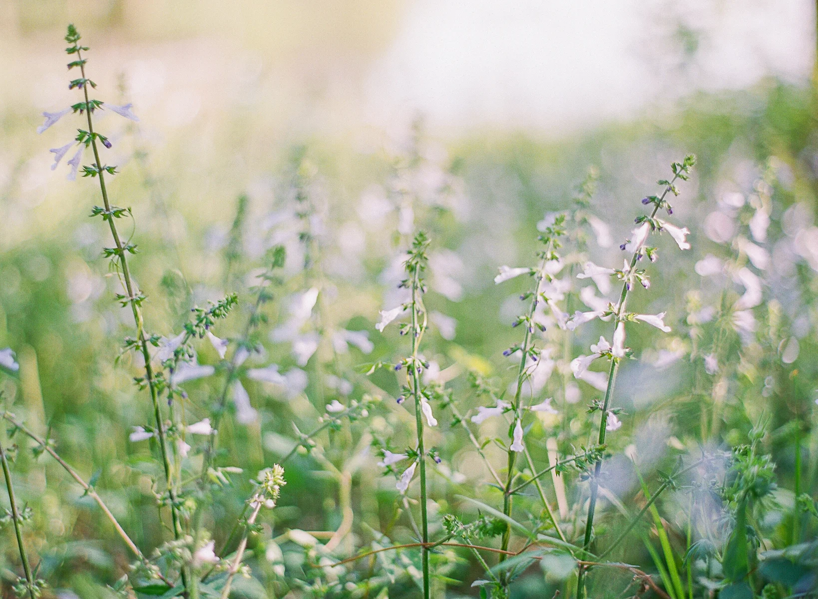 When there's only so much rope left...