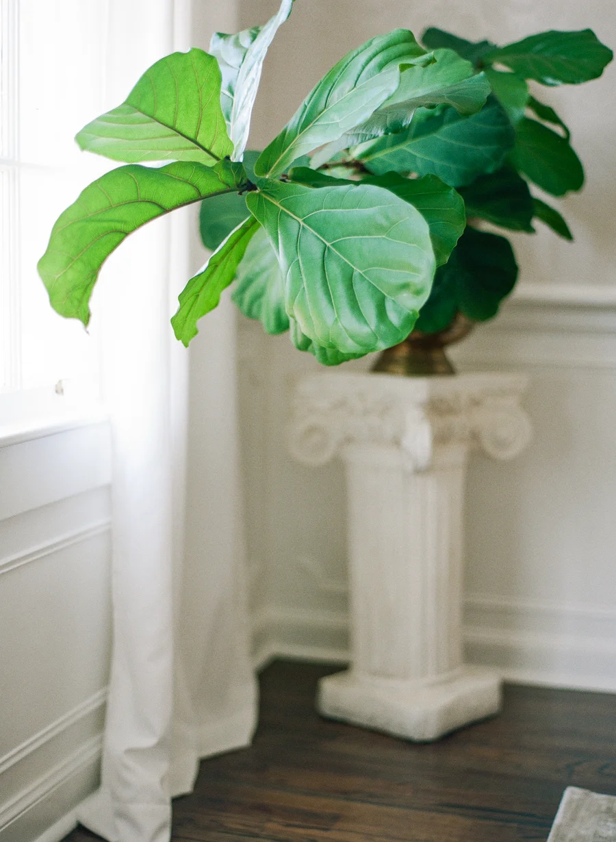 TiptonHouse_JenniferBlairPhotography-1016