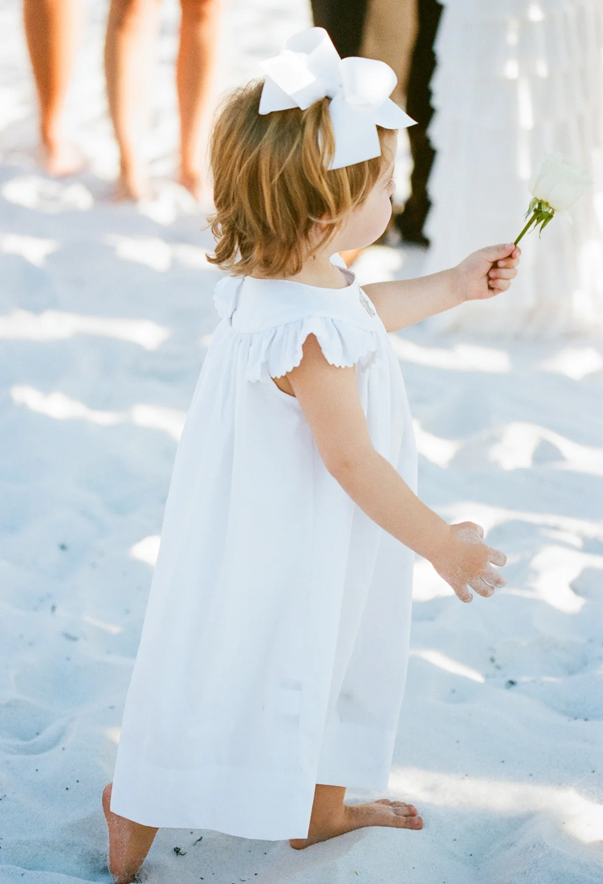 Taylor&Chase_JBP-1012