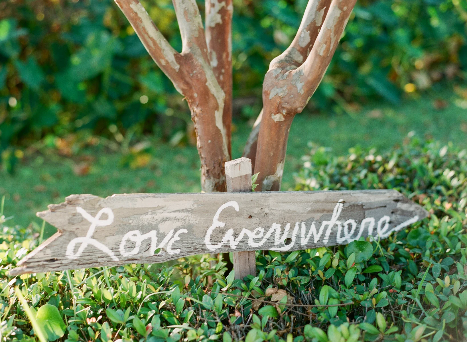 Taylor&Chase_JBP-1018