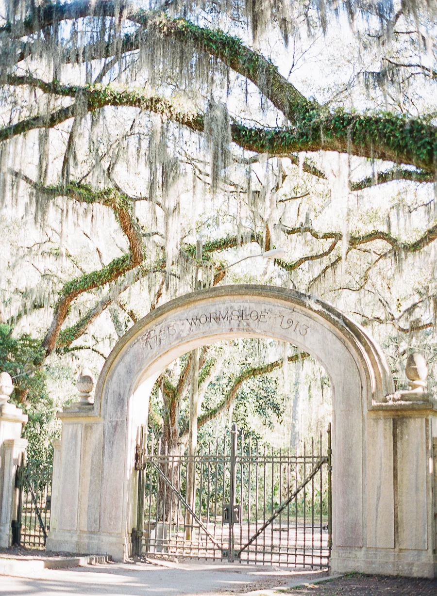 Savannah_JenniferBlairPhotography-1002