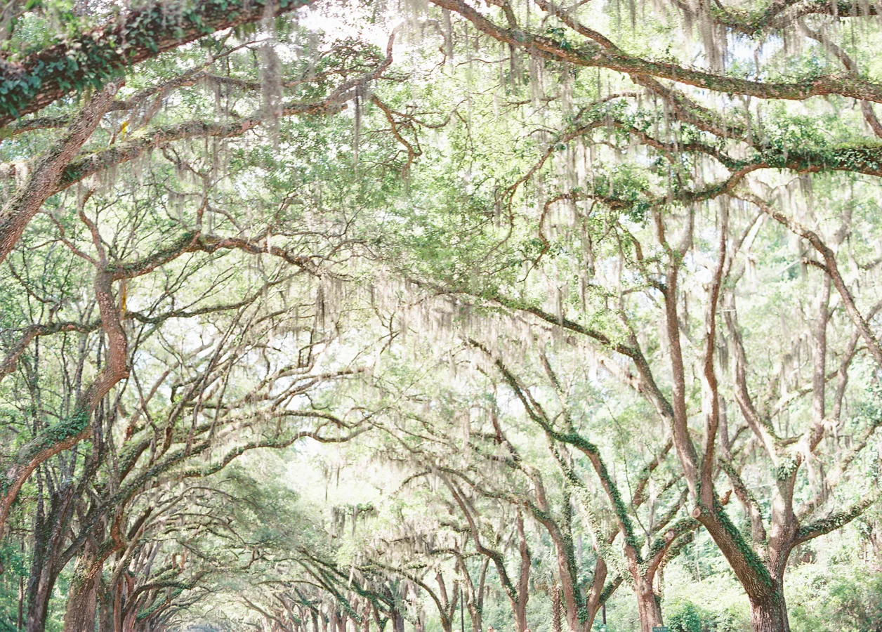 Hannah&Aaron_JenniferBlairPhotography-1015