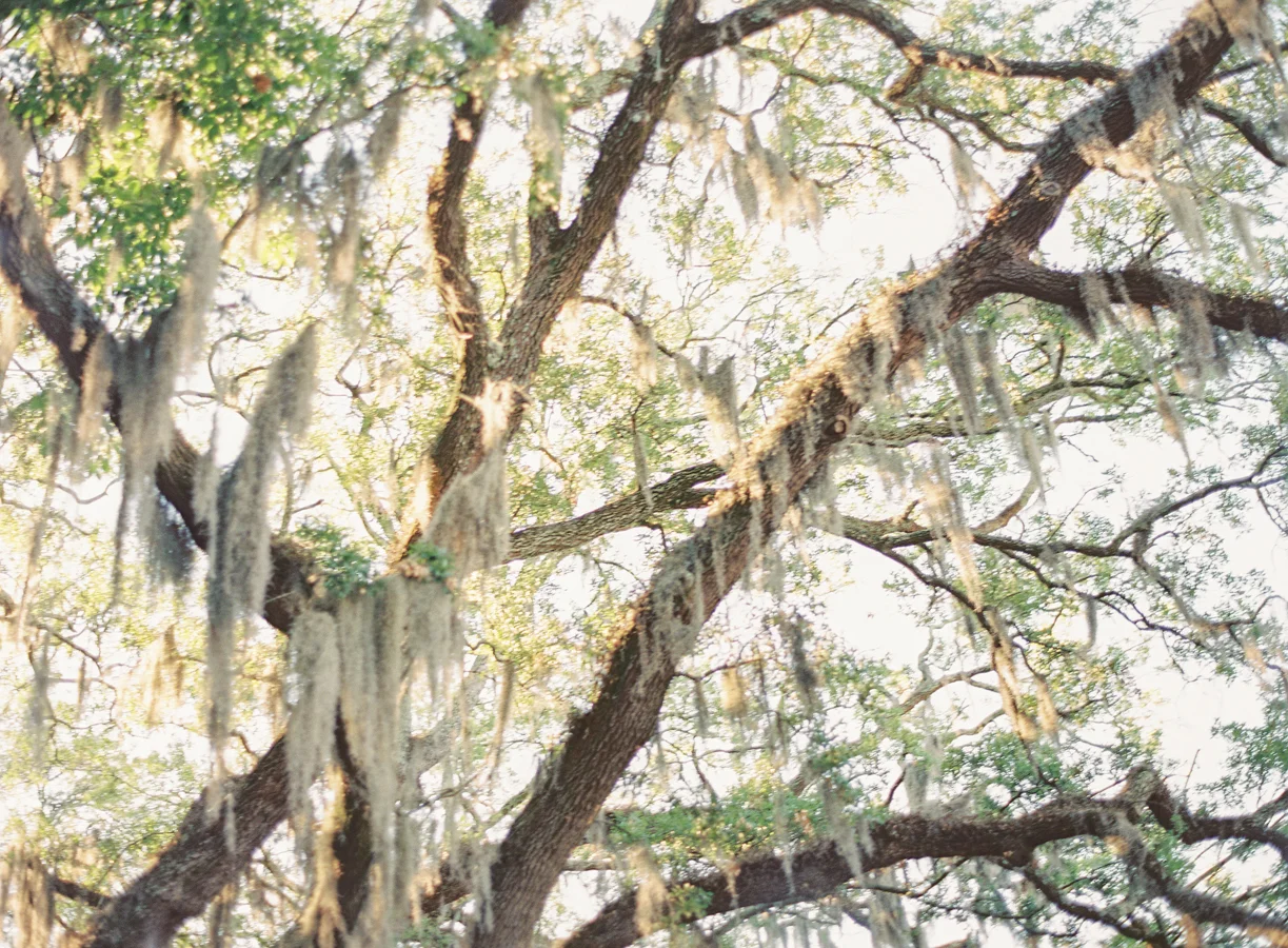 Hannah&Aaron_JenniferBlairPhotography-1062