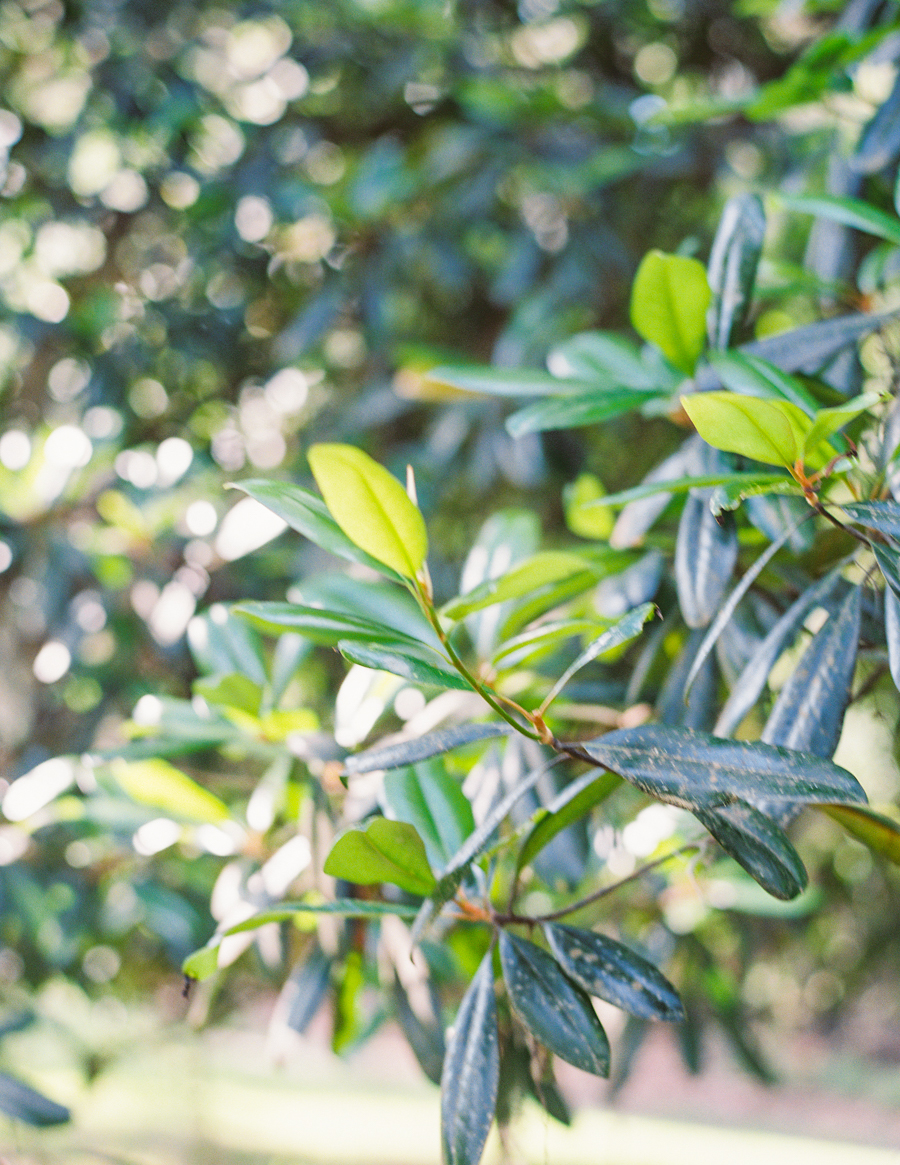 Hannah&Aaron_JenniferBlairPhotography-1057