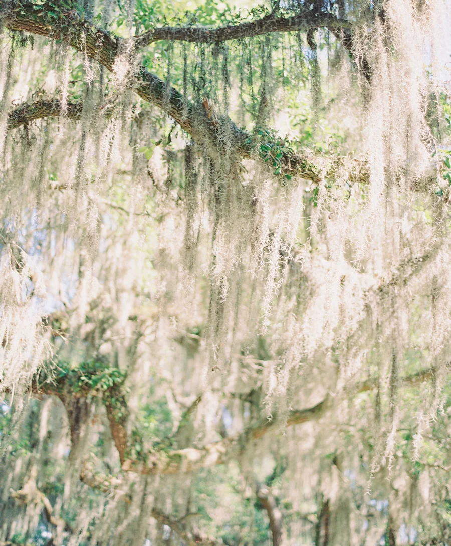 Hannah&Aaron_JenniferBlairPhotography-1051