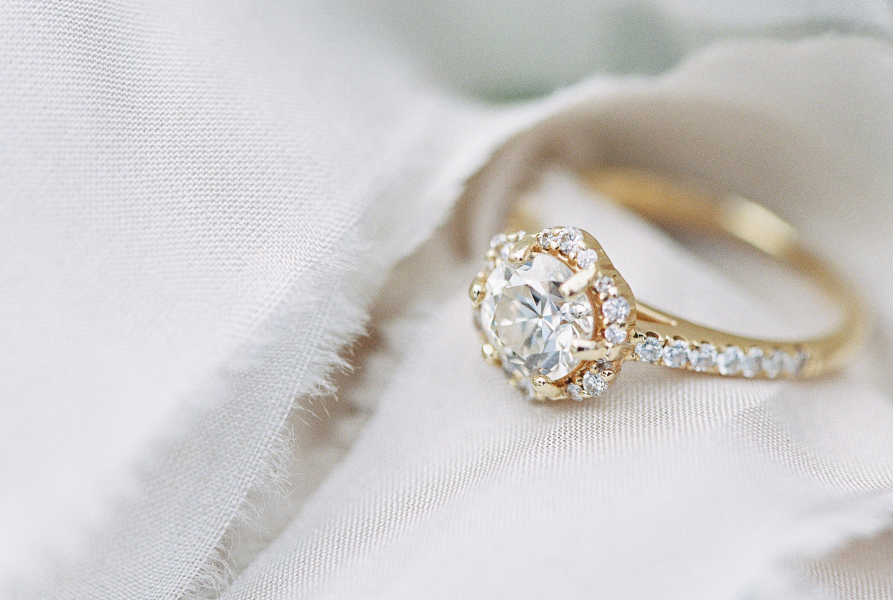 CadZan|JenniferBlairPhotography-1002