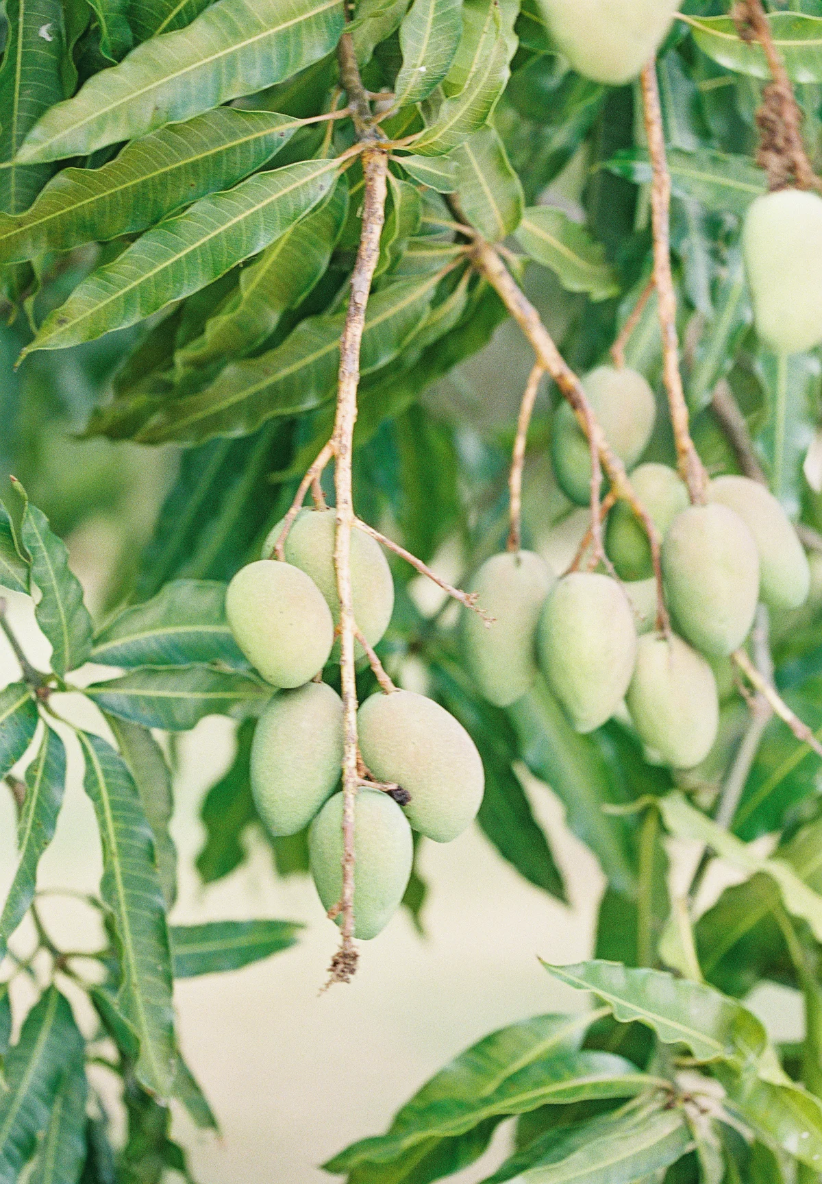 CadZan|JenniferBlairPhotography-1015