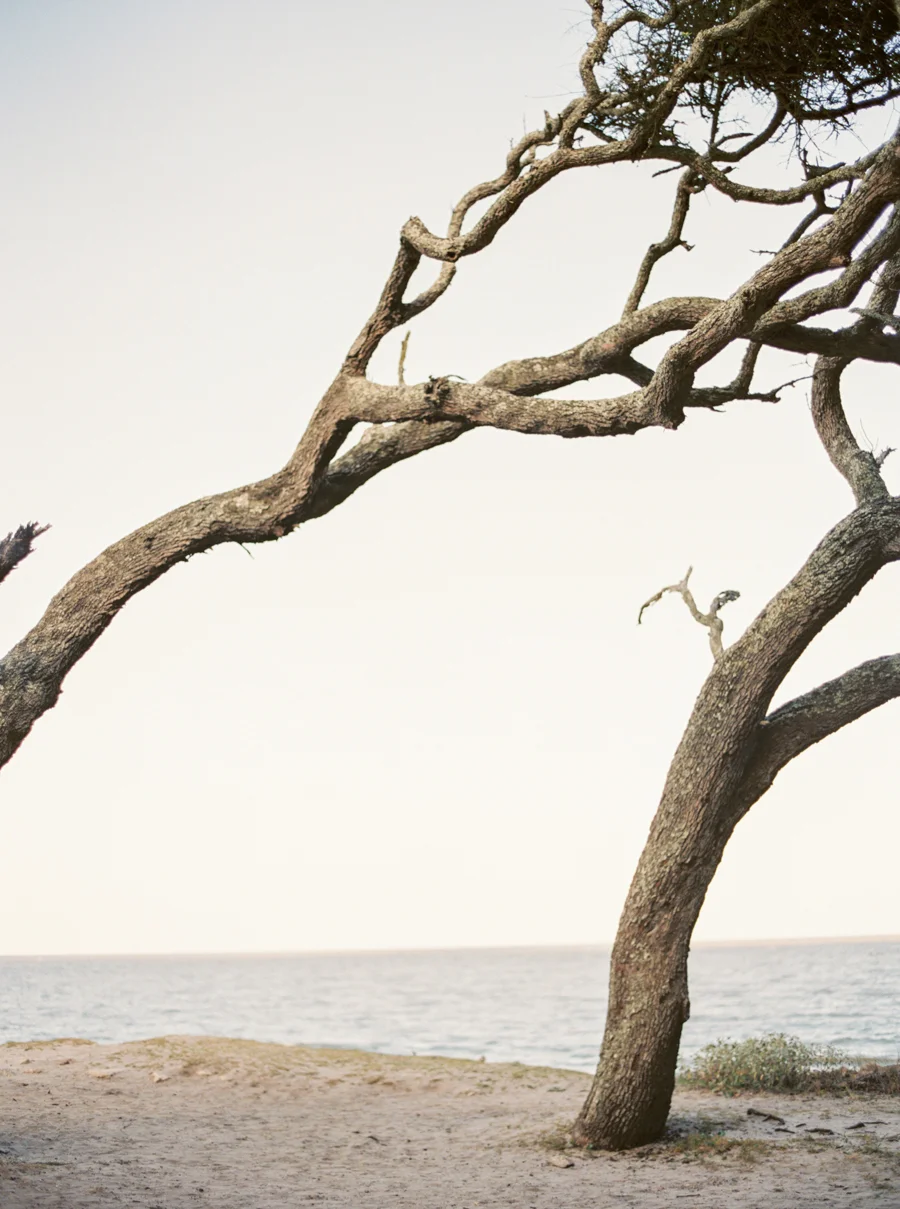 A&M_JenniferBlairPhotography-17