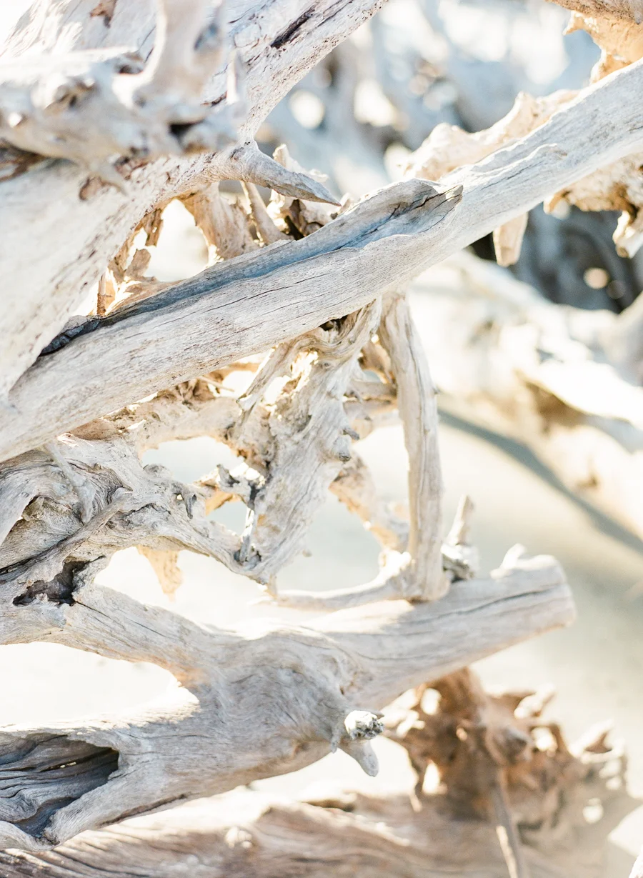 A&M_JenniferBlairPhotography-19