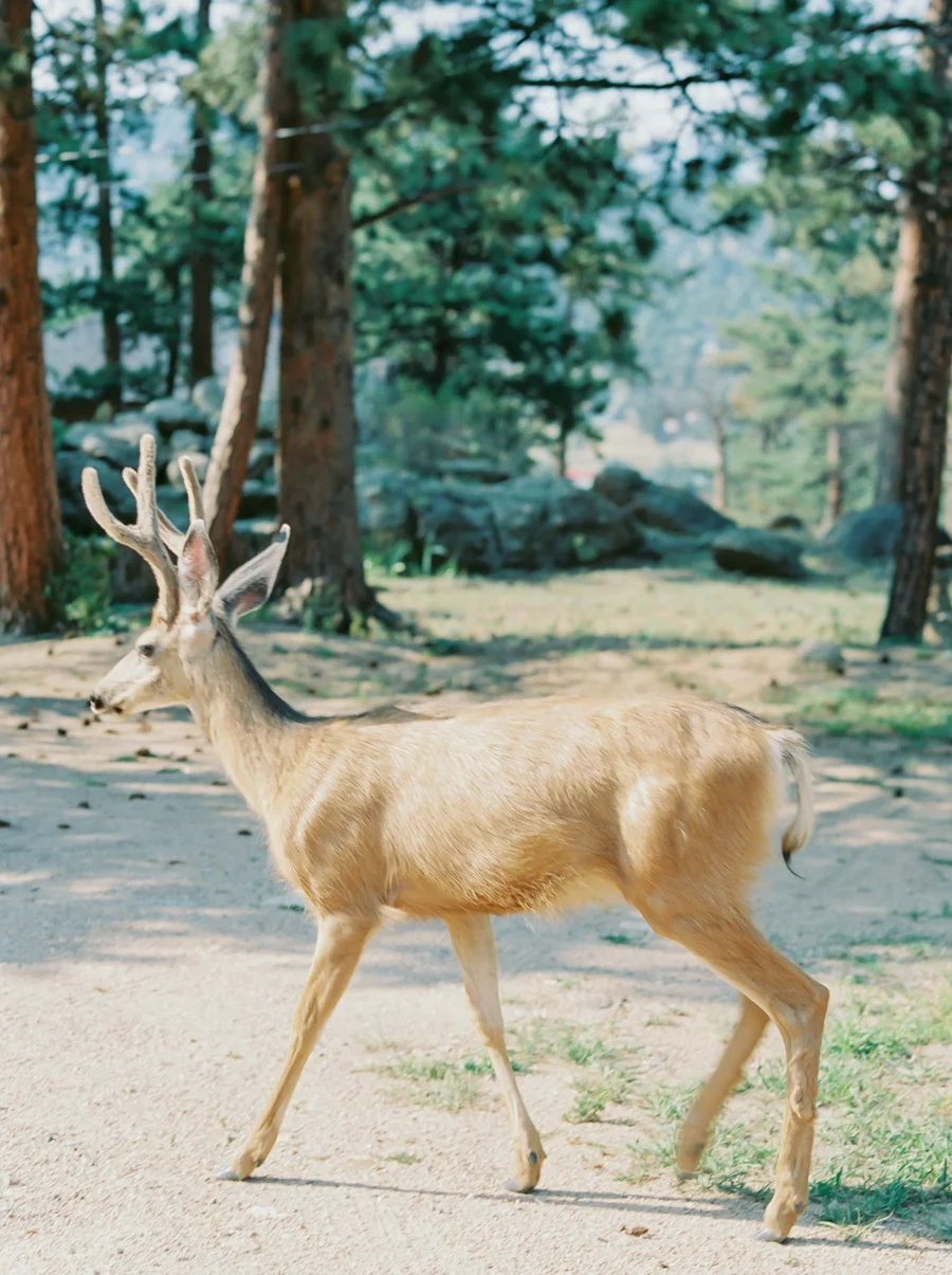 Colorado_JenniferBlairPhotography-1041