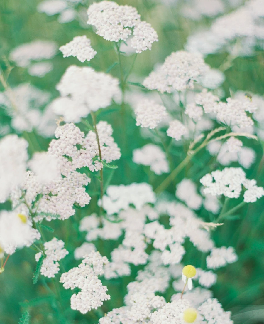 JenniferBlairPhotography_Colorado-1102