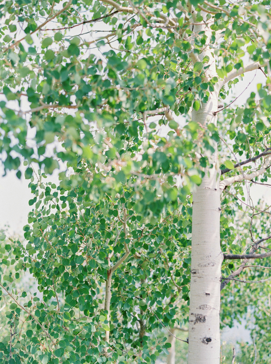 JenniferBlairPhotography_Colorado-1106