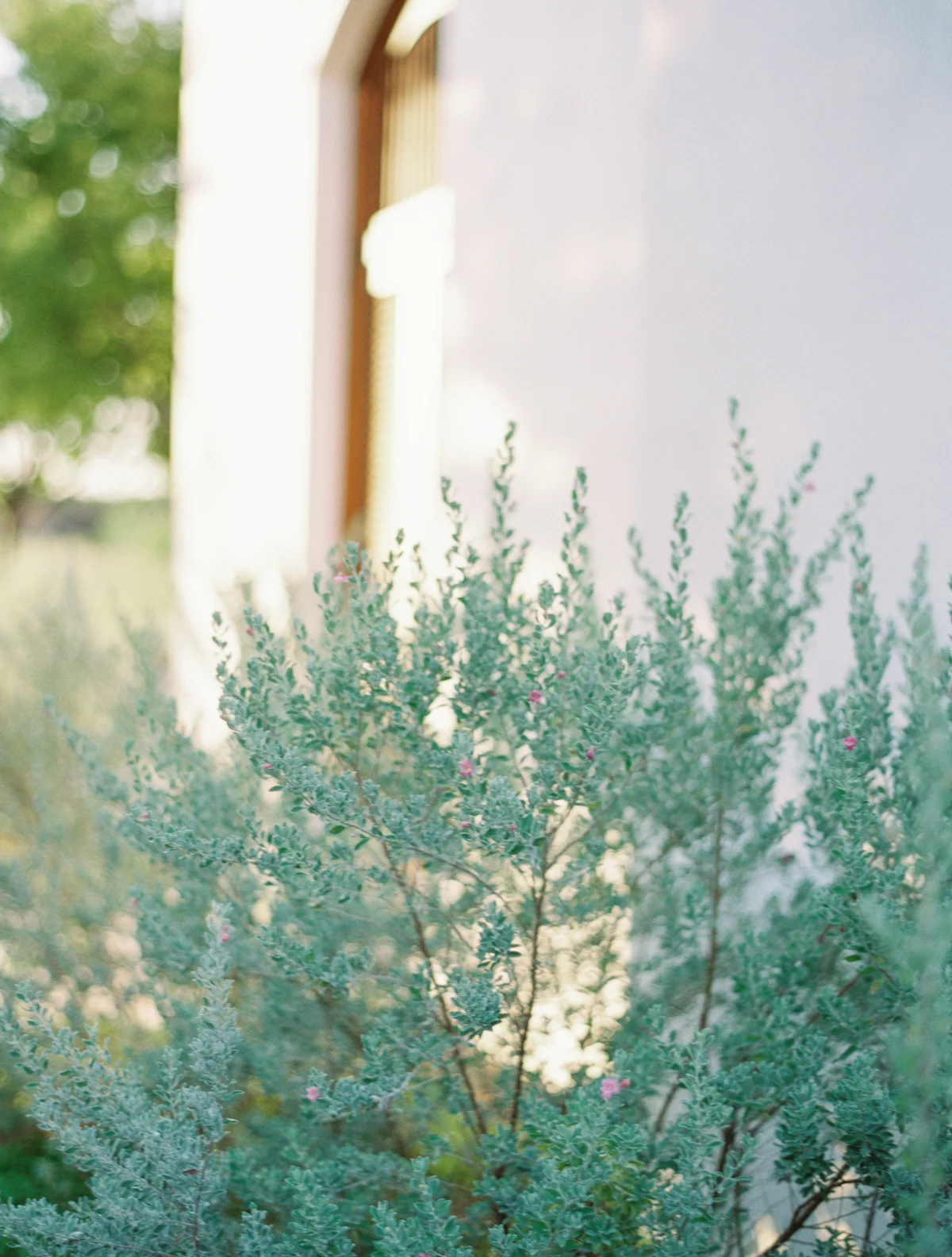 AlysBeachEngagement_JenniferBlair-1034