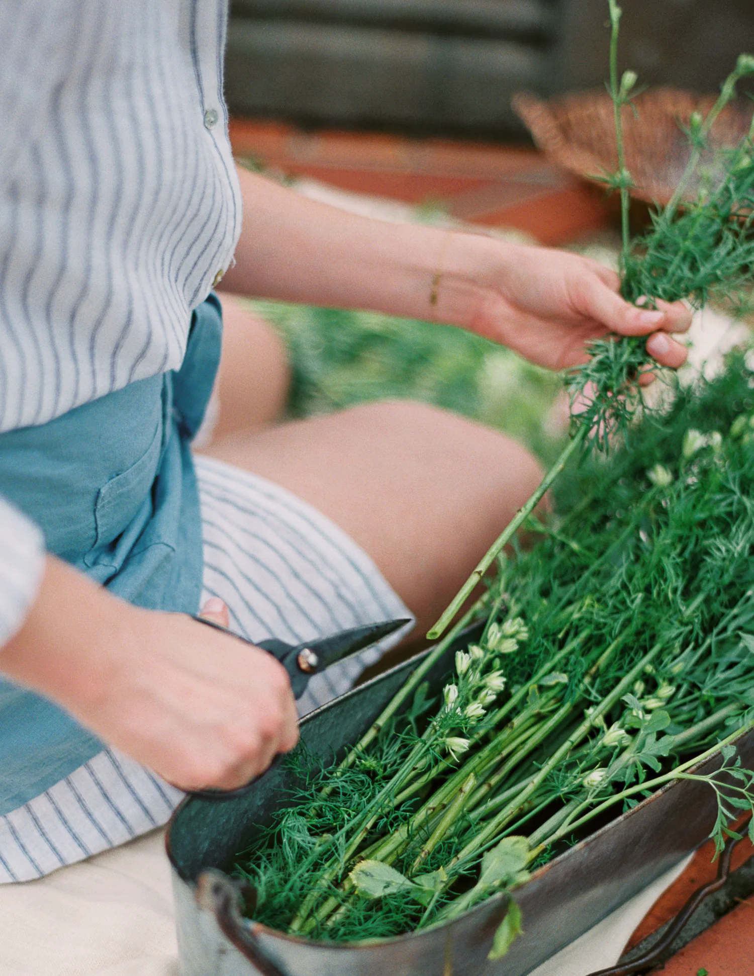 Fluer&Lumiere_JenniferBlair-1060