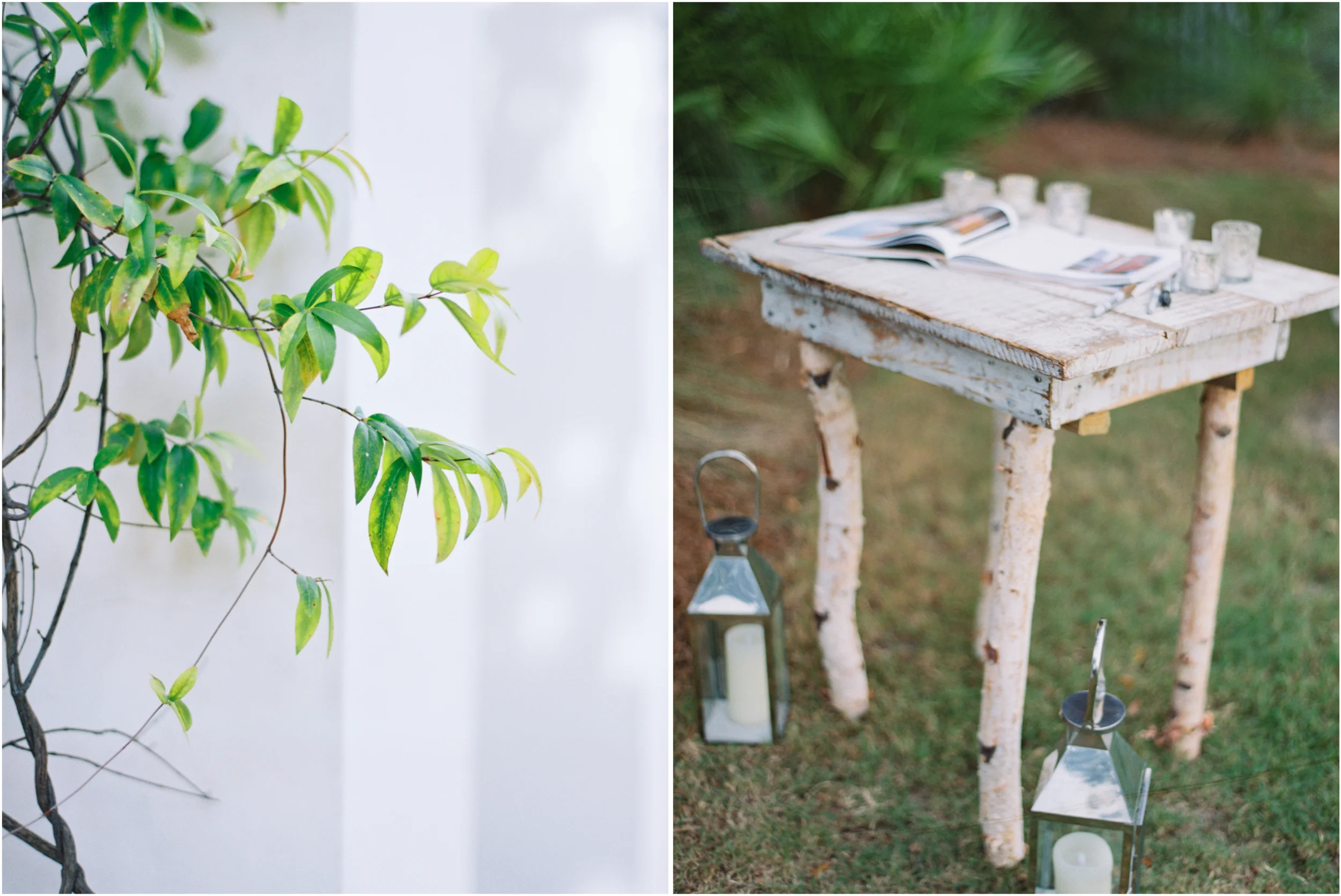 RosemaryWed_JenniferBlair9